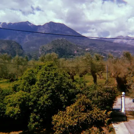 Serene *