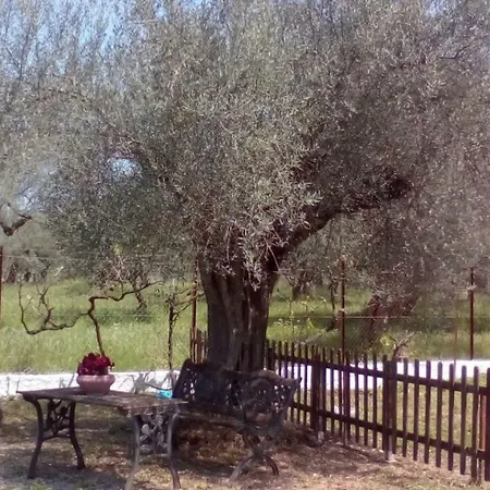 Serene וילה *